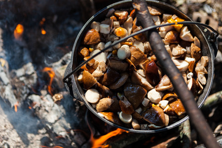 pot on the fire with mushrooms in the forest on the banks of the river in natureの写真素材