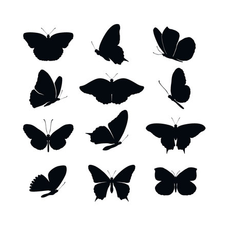 Set butterflies collection spring and summer black silhouettes on white background. Icons different shapes wings, for illustration, ornaments, tattoo, decorative design elements. Vector illustrationのイラスト素材