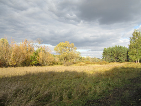 shadow from clouds on forest edge before the rainの写真素材