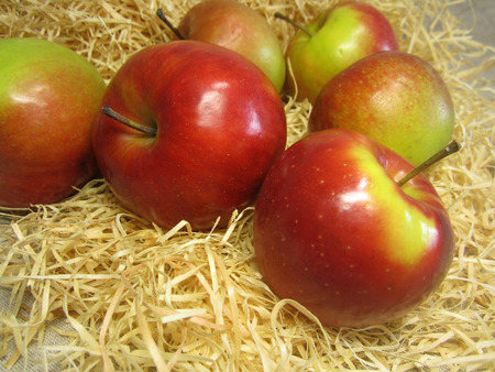 juicy red apples are in the strawの写真素材