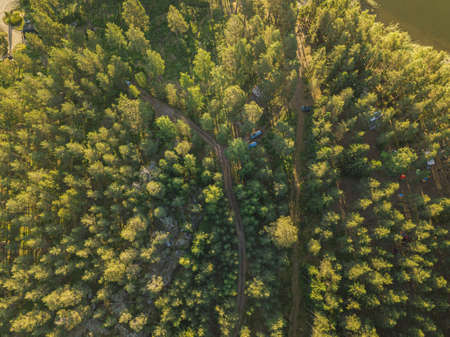 Photo from the air. The nature of Finland. Pine forest of Scandinavia. Summer. Sunny day . High quality photoの写真素材