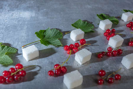 Red currant berries, green leaves and pieces of sugar, still life on a gray background. High quality...