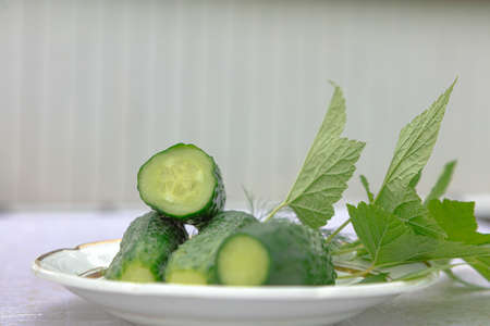 Freshly pickled cucumbers on a plate and currant leaves on a light background. High quality photoの写真素材