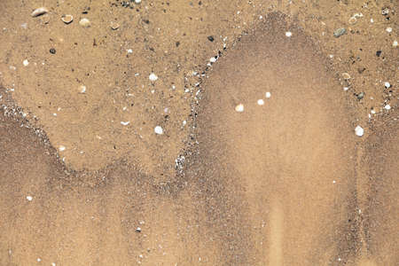 Natural background, texture of wet sand with seashells. High quality photoの写真素材