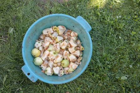 Waste from apples in a plastic bowl against a background of green grass. Fruit and vegetable...