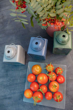 Still life, Candlesticks, vase with yellow flowers and rowan, fresh tomatoes.Concept, autumn harvest, vegetables without pesticides. High quality photoの写真素材