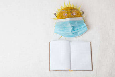 Sunflower with reading glasses, medical mask and notepad. concept, training, school, quarantine during coronavirus, on a white background. High quality photoの写真素材