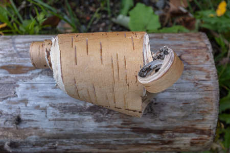 Piece of birch bark, birch bark, close-up. High quality photoの写真素材