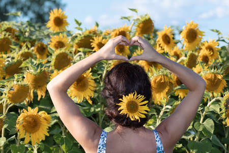 Portrait of a brunette in sunflowers, she stands with her back. High quality photoの写真素材