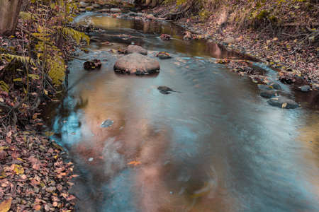 Autumn and view of the stream. High quality photo