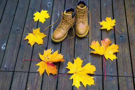 Leather shoes and yellow maple leaves on a wooden background. The concept of autumn has come. High quality photoの写真素材
