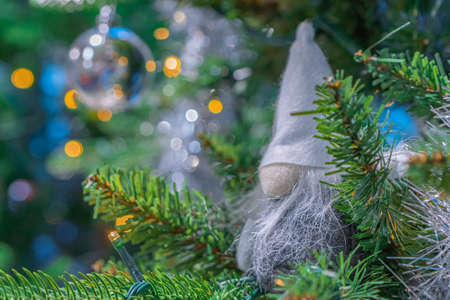 Christmas gnome on the tree. Concept, New Year 2021. High quality photoの写真素材
