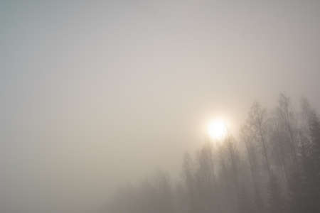 The sun is in the fog. Road and forest. Poor visibility. Autumn morning in November. Photo through...