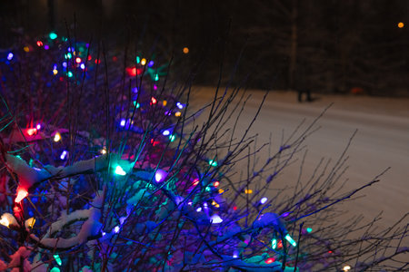 multicolored garland on the tree. .Natural snow background. Concept, winter, new year, christmas....