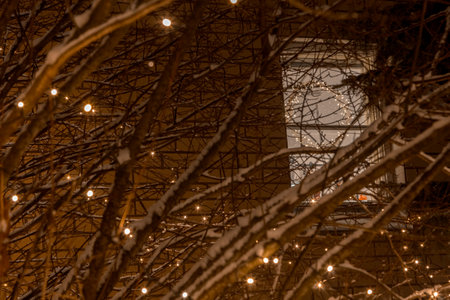 Glowing Christmas garland on the tree. Snowy winter concept, new year. High quality photoの写真素材