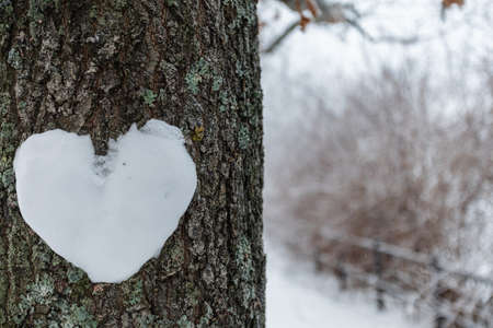 Sculpted heart from snow on a tree. High quality photoの写真素材