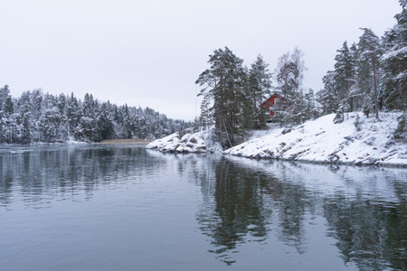Snow-covered forest against the background of the unfrozen sea, rocky coast. Snowy winter concept. Finnish nature. High quality photoの写真素材