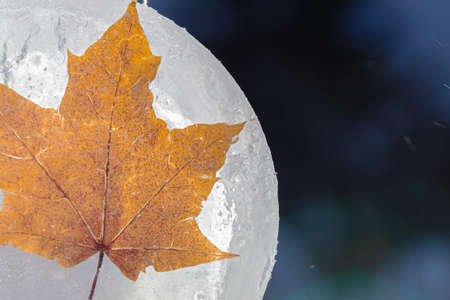 An ice ball in the snow with a frozen maple leaf. Natural winter background. High quality photoの写真素材