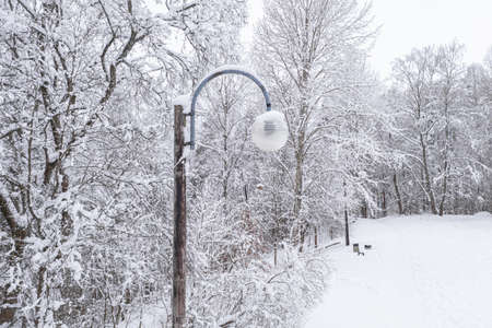 Lantern in the park. Winter, snowy landscape. High quality photoの写真素材