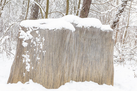 Finland, Lahti, 14 February 2021 Statues, human figures, made of stone and winter landscape of Lanupuisto park on a frosty day. Contemporary art. High quality photoのeditorial素材