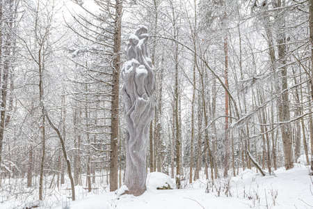 Finland, Lahti, 14 February 2021 Statues, human figures, made of stone and winter landscape of Lanupuisto park on a frosty day. Contemporary art. High quality photoのeditorial素材