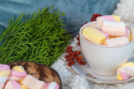 Pillow, a cup of coffee, verifying green spruce, Marshmallow Still life, bedding. High quality photoの写真素材