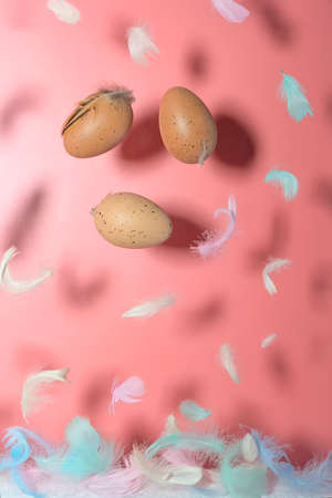 Multi-colored feathers and chicken eggs on a pink background. Levitation effect. Concept, easter....