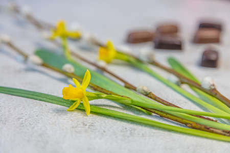postcard for March 8. Daffodils, pussy willow, sweets. Congratulation concept. High quality photoの写真素材