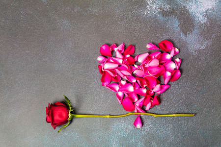 Red rose and Heart of fresh rose petals. Love concept ER