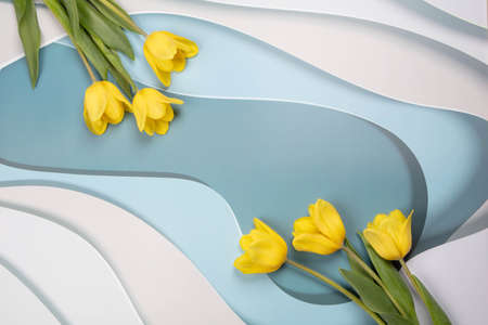 yellow tulips on a light background, place for text