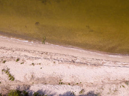 Summer evening, coastline, deserted beach of the Gulf of Riga. Sandy beach and waves. Photo from a drone.の写真素材