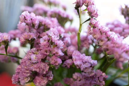 Pink flowers in a vase by the window