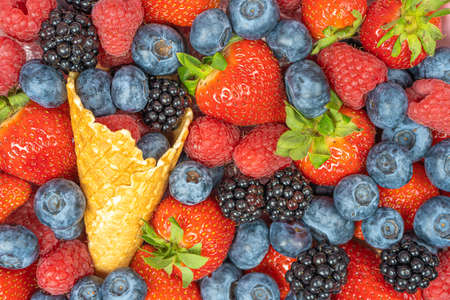 Background from fresh berries, blueberries, raspberries, strawberries, hedgehog with a waffle cone. There is a place for the text Concept of a useful gift, congratulations on the holidayの写真素材