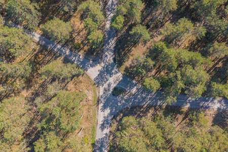 Crossroads in a pine forest, Green, forested area on the coast of the Gulf of Finland, Summer day, view from a drone at the mouth of the Narva in the Baltic States, Estonia, narva jÃµesuu,の写真素材