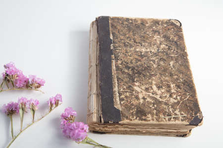 Very Old Book Dry Flowers White Background Concept Vintage Memoryの写真素材