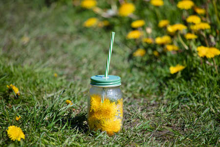 Dandelion flowers in a smoothie jar. on the background of the grass summer conceptの写真素材