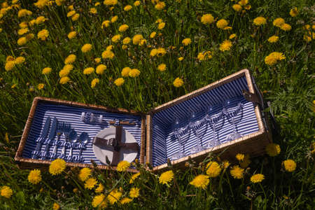 Vintage picnic suitcase on the lawn with yellow dandelions. Holiday concept in natureの写真素材