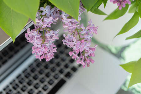 There is a bouquet of lilacs and a computer on the table. Concept, work at home.の写真素材