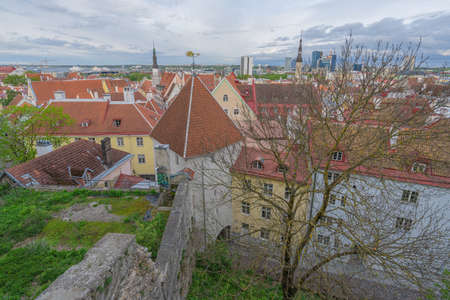 Tallinn Estonia May 21, 2021 View of the rooftops of the old town, spring eveningのeditorial素材
