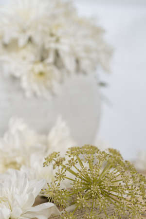 Still life with an old book, a cup of coffee and chrysanthemum flowersの写真素材