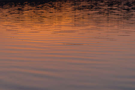 Reflection of the sun in the water. Summer dawn. Close-up