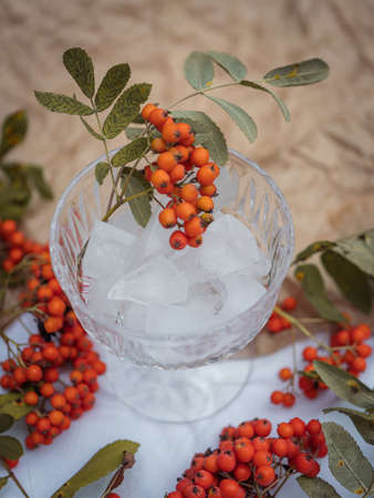 Still life, glass goblet, ice and rowan. Autumn mood concept.の写真素材