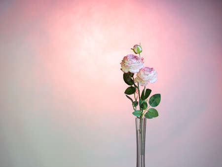 Artificial rose flower on a pink background. There is room for text. Postcard conceptの写真素材