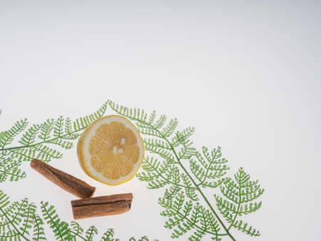 Green fern leaves, lemon and cinnamon bark. There is a place for the test. The concept of freshness, clean air. Ecologyの写真素材