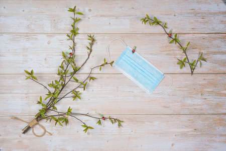 Medical, protective face mask, pussy willow bouquet on a wooden background. There is room for text....