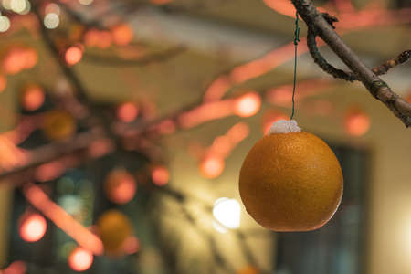 orange on the tree, under the snow. decoration for christmasの写真素材