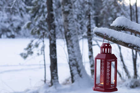 Flashlight on a branch against the backdrop of a winter landscape, White snow on the branches.