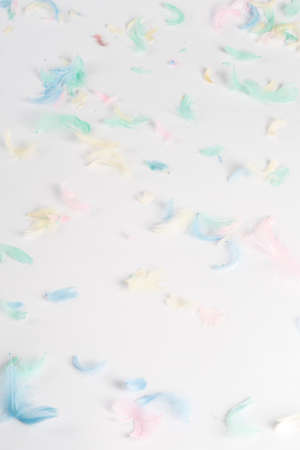 small colored feathers, on a white background, there is a place for text. Top view Easter conceptの写真素材