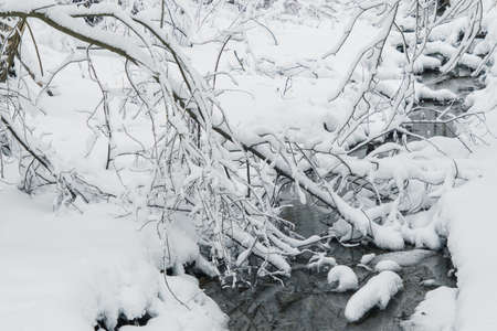 stream in the forest in winter running water, river in nature. snow landscape. nature of Finland,...