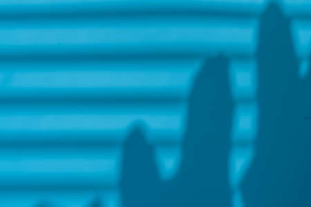 Shadow from blinds and leaves on a blue background. The concept of freshness and relaxation